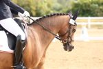 SBM_005161