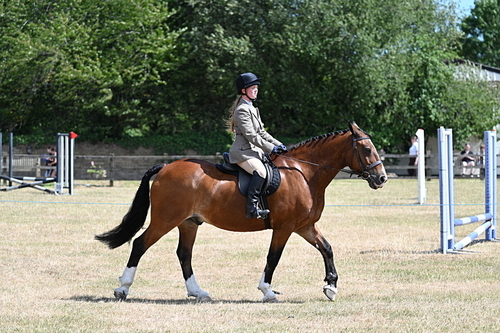 WJ7_3238