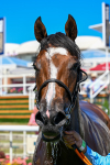 110725-Race 2-Sayidah Dariyan-0261