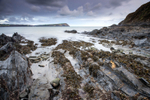 Coast 2