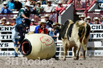 _DSC1267