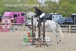 BPP_3369