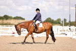 SBM_03651