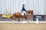 SBM_002181
