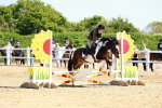 SBM_007213