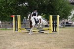 WJ6_1446