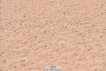 230606A-164154-00099