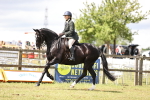SBM_14553