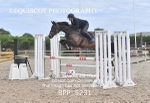 BPP_5231
