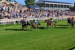 240726-Race 2-Vaguely Royal-0227
