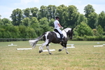 WJ6_7844