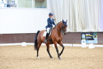 SBM_005006