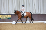 SBM_007380