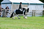 SBM_09313