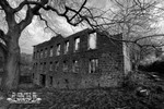 Portfolio 8