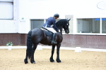 SBM_004184