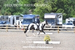 BPP_0210