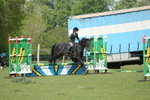 Class 14 - Novice 60cm portfolio