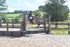 BPP_2003