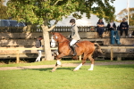 SBM_54338