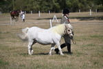 WJ6_4393