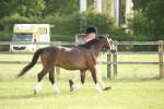 SBM_10594