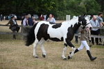WJ6_8128