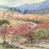 Moorland Path
