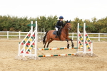 SBM_007678