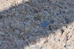 230520A-094602-01670