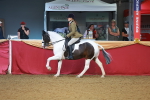 SBM_09461