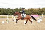 SBM_009569