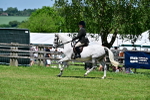 SBM_17461