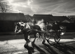 Horse Power