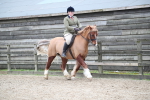 SBM_006276