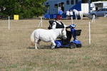 WJ6_6792