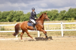 SBM_002857
