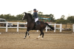 SBM_008724