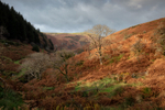 Gateway to the Glen