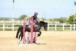 SBM_007017