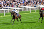 190826-Race 5-Small Fry-0649
