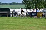 SBM_13974