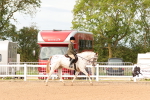 SBM_18195