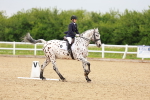 SBM_005920