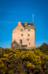 Fenton Tower