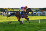 300926-Race 7-Prince Of Calypso-7079
