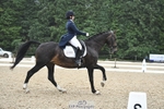 Cls 7, FEI PSG BRONZE portfolio