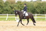 SBM_002966