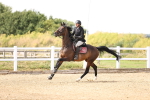SBM_001153