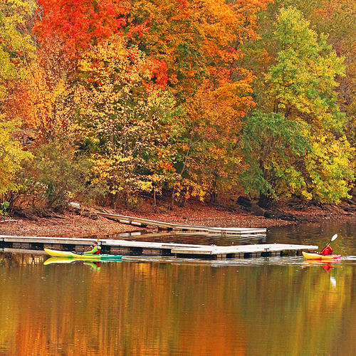 Autumn Kayaking Foliage New Brunswick Canada